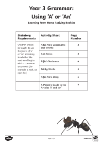 Year 3 Grammar: Using 'A' or 'An' Activity Booklet