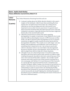 Theory Reflection Journal Entry Week 13