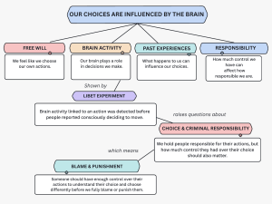 How the Brain Influences Our Choices: Free Will & Responsibility
