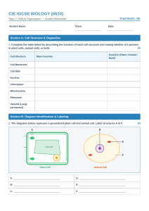 CIE IGCSE Biology Worksheet: Cells & Organization