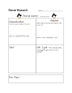 Animal Research Worksheet: Classification, Habitat, Diet