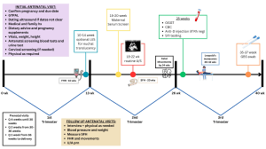 Prenatal Care Timeline: Initial & Follow-Up Visits