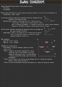 Swan Diagram: Internal & External Balance in Macroeconomics