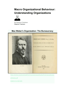 Macro Organizational Behaviour: Understanding Organizations