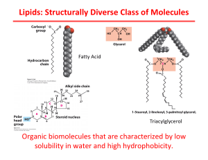 Lipids and Metabolism: Biochemistry Chapter
