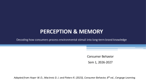 Perception & Memory in Consumer Behavior
