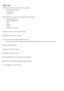 Veterinary Pathology Study Guide: Spleen, Kidney, Liver