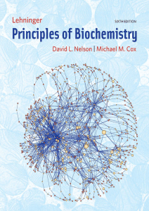 Lehninger Principles of Biochemistry 6th Edition Textbook