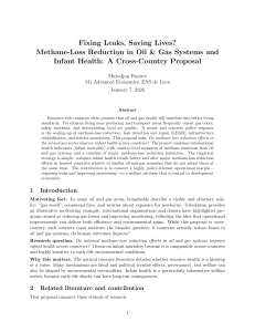 Fixing Leaks, Saving Lives? Methane Reduction & Infant Health Proposal