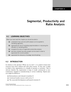 Chapter 4: Segmental, Productivity and Ratio Analysis