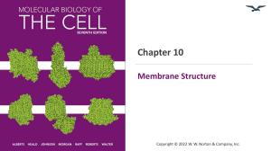 MBOC7 artppt Ch10
