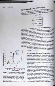 Chapter 12: The Costs and Benefits of Interacting