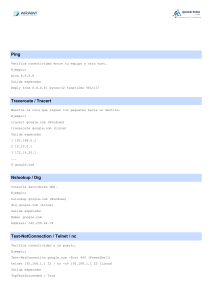 Comandos de Red: Gu&iacute;a de Diagn&oacute;stico