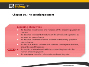 Chapter 30: The Breathing System - Biology