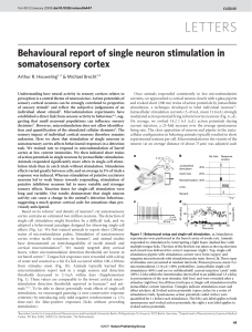 Single Neuron Stimulation in Somatosensory Cortex: Behavioral Report