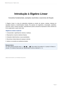 Introdu&ccedil;&atilde;o &agrave; &Aacute;lgebra Linear