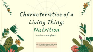 Characteristics of a Living Thing: Nutrition