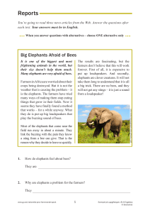 Reports: Reading Comprehension Test with News Articles