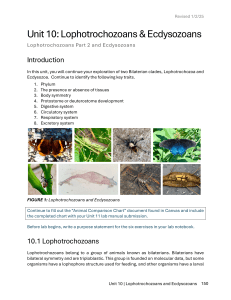 Unit 10: Lophotrochozoans & Ecdysozoans Lab Manual