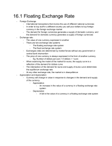 Floating Exchange Rates: Economics Notes on Currency Markets