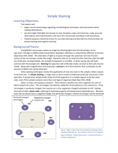 Simple Staining: Microbiology Lab Manual on Smear & Heat Fixing