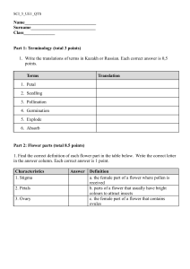 5th Grade Plant Science Quiz: Flower Parts & Reproduction