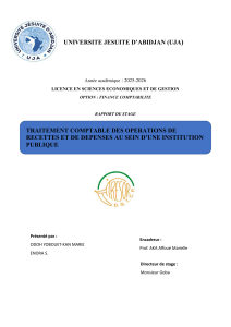 Rapport de stage : comptabilit&eacute; publique, recettes et d&eacute;penses