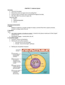 Chapter 17: Endocrine System - Hormones & Organs