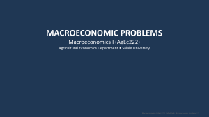 Macroeconomic Problems: Unemployment & Inflation - AgEc222 Lecture