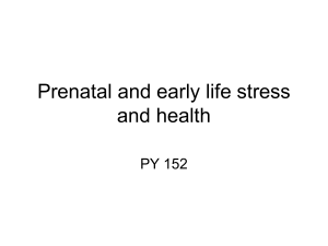 Prenatal and Early Life Stress and Health - Psychology Lecture PY 152