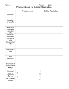 Photosynthesis vs Cellular Respiration Comparison Worksheet