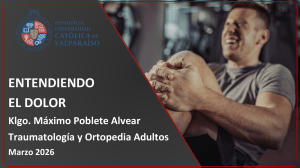 Entendiendo el Dolor: Teor&iacute;as, Tipos y Mecanismos | Kinesiolog&iacute;a