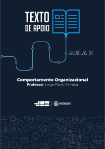 Comportamento Organizacional - Aula 3: Equipes de Trabalho