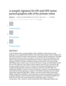 Visual Neuroscience Abstracts: Primate Retina & Color Vision