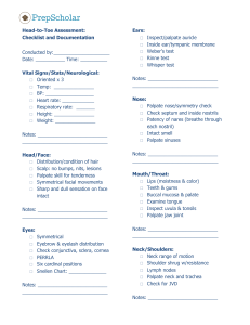 Head-to-Toe Assessment Checklist & Documentation