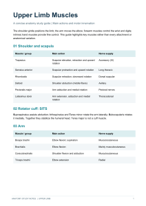 Upper Limb Muscles: Anatomy Study Guide with Actions and Innervation