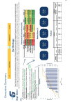 Guys Gearz Business Strategy Executive Summary