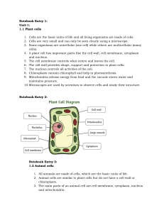 Cell Biology Notes: Plant and Animal Cells