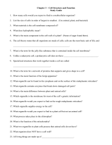 Chapter 3 Cell Structure and Function Study Guide &ndash; Biology Review