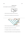 Cladogram Practice Worksheet
