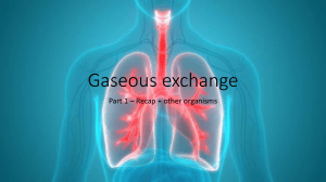Gaseous Exchange in Organisms: Biology Lesson