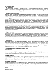 Appunti di Filosofia Antica: Presocratici, Platone, Aristotele