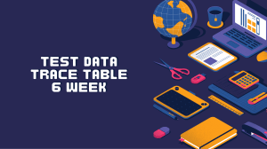 Test Data and Trace Tables: Week 6 Computer Science Lesson