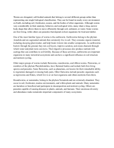 Worms: Earthworms, Flatworms and Roundworms | Biology Text