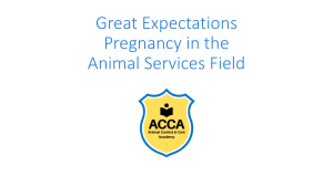 Great Expectations: Pregnancy in the Animal Services Field Training