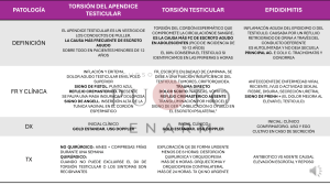 Patolog&iacute;a del Escroto Agudo: Torsi&oacute;n Testicular y Epididimitis