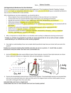 Cell Organization & Membranes Pre-Class Worksheet with Answers