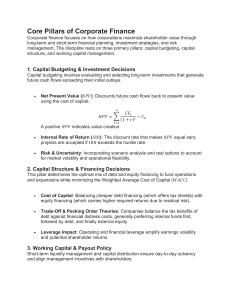 Core Pillars of Corporate Finance: NPV, IRR, WACC & Capital Structure