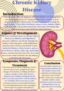 Kidney disease (1) (3)