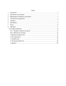 Informe de Pr&aacute;cticas: Control de Calidad en Papel Tissue KUPEL